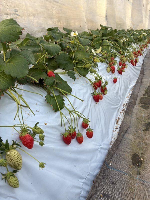 3連休の営業情報